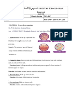 Home Work Animal Tissues