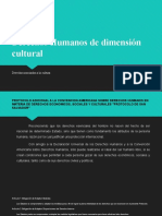 Derechos Humanos de Dimensión Cultural