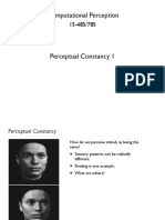 Perceptual Constancy1