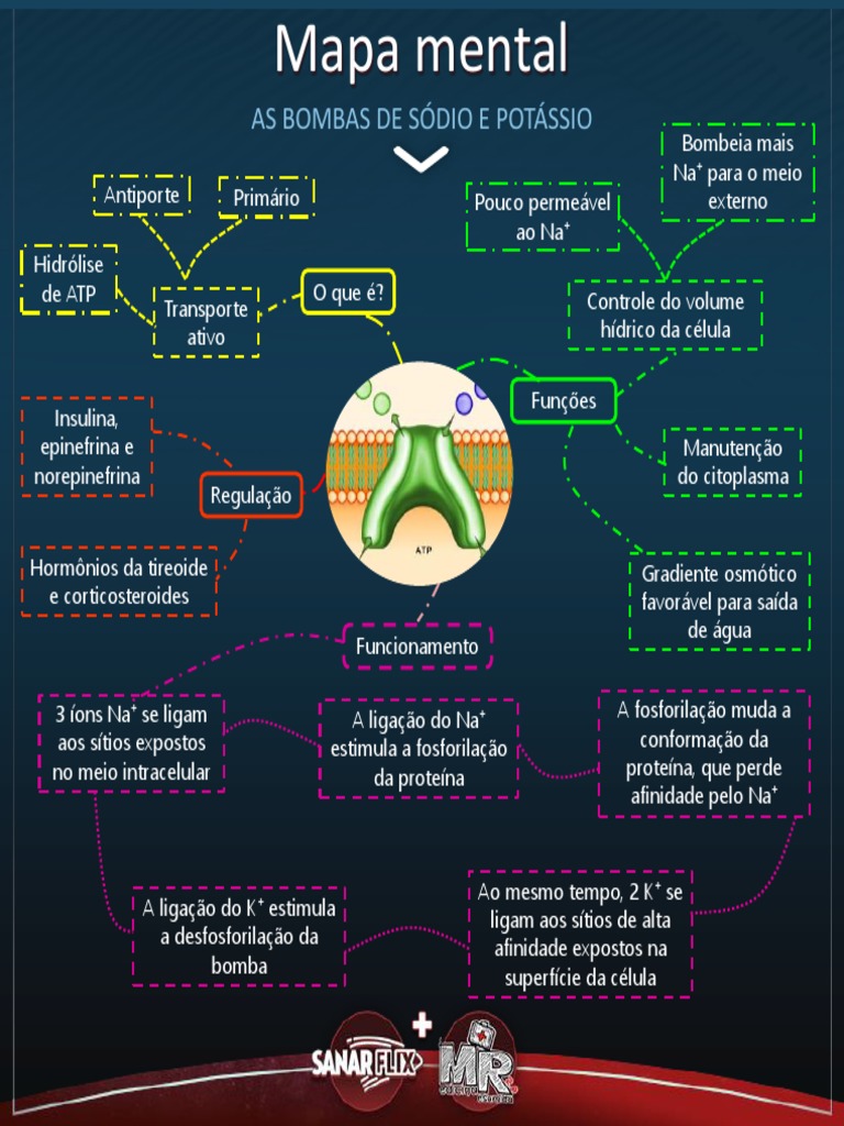 SanarFlix - Bomba de Sódio e Potássio (Mapa Mental) | PDF, image size:768x1024