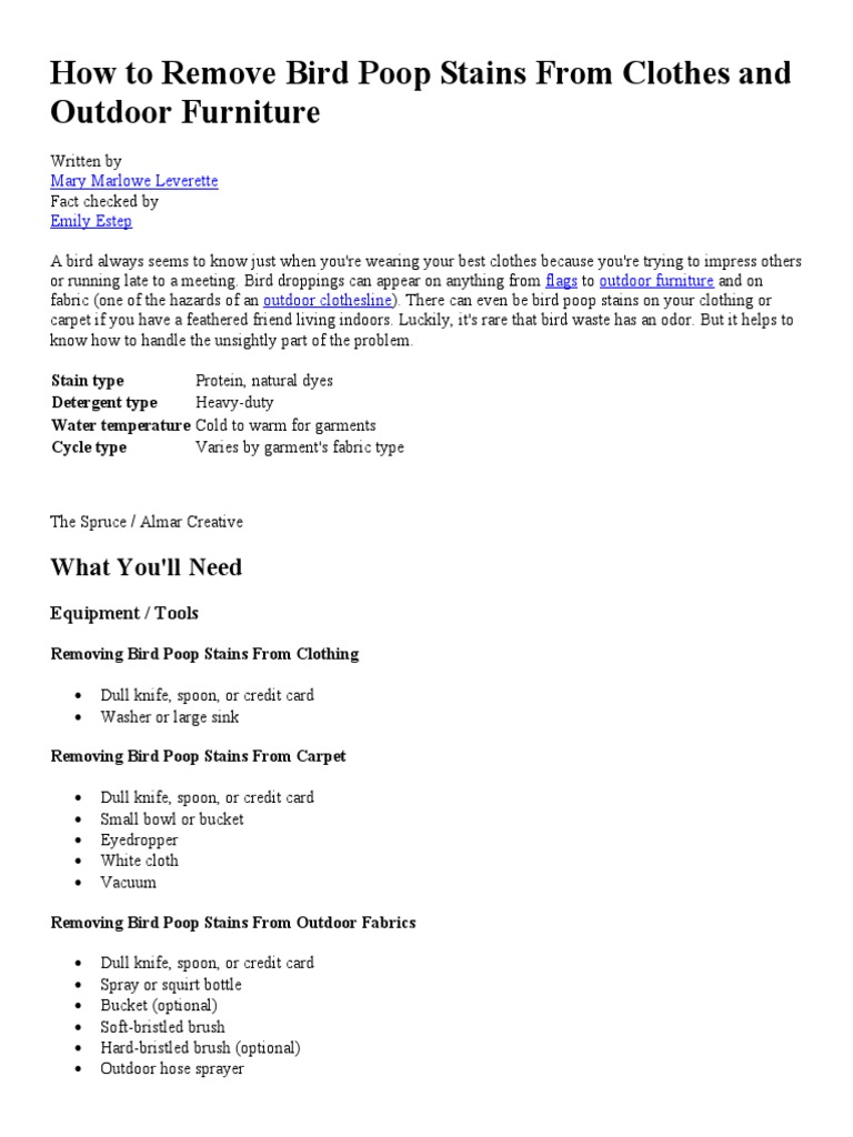 How To Remove Bird Poop Stains From Clothes and Outdoor Furniture PDF