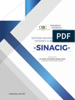 Documento Sinacig VF 2021