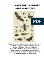 Informații Suplimentare Despre Insectele