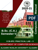B.Sc. (C.A.) Semester-V: Department of Computer Science