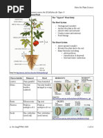 Plant Science Notes