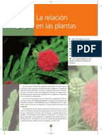 Plantas respuesta medio