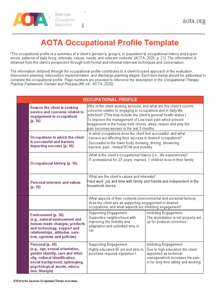 AOTA Occupational Profile Template | PDF | Occupational Therapy ...