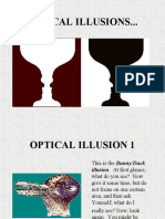 Optical Illusion