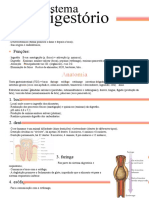 Sistema Digestório