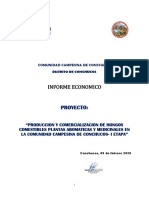 Informe Financiero Firmado