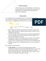 Nutrition in Plants 1 PDF