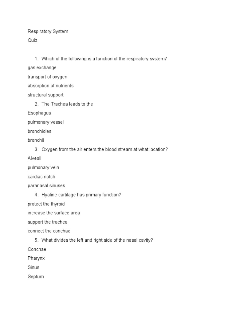Respiratory System Quiz PDF