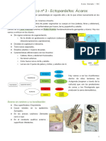 Practico 3 - Ácaros