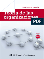 Teoría de Las Organizaciones Apol García