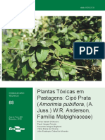 Plantas Tóxicas em Pastagens Cipó Prata (Amorimia Pubiflora, (A.Juss.) W.R. Anderson, Família Malpighiaceae)