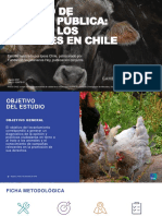 Informe Estudio Trato a Los Animales en Chile Fundacion Vegetarianos Hoy VF