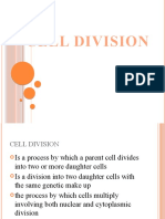 cell division discussion