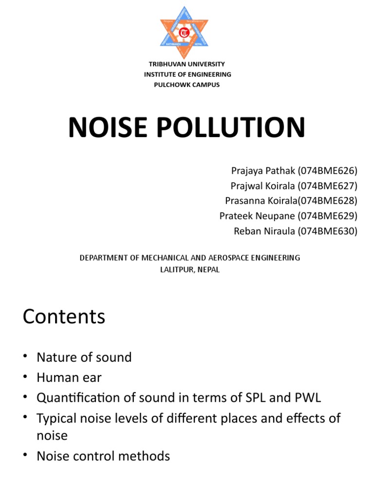 Noise Pollution Causes Effects Pdf Hearing Sound