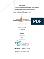 Skybird Aviation: B B A Aviation Management