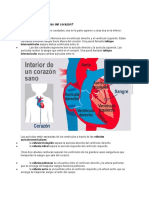 Cuáles Son Las Partes Del Corazón