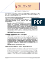 Uploads PDF