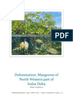 Deforestation: Mangroves of North-Western Part of Indus Delta