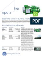 Info Sheet Type 2 Spanish