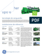 Info Sheet Type 6 Spanish