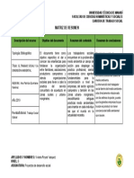 Plantilla Matriz de Resumen-1