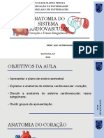 Anatomia Do Sistema Cardiovascular