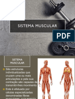 Sistema Muscular I