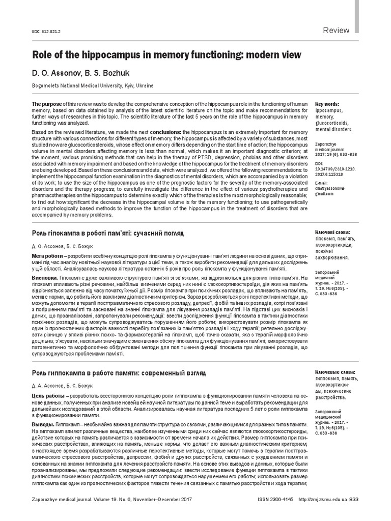 hippocampus location