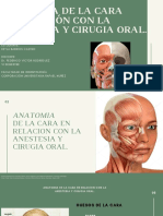 Anatomia de La Cara en Relacion Con La Anestesia y Cirugia