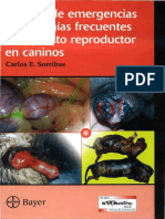 Manual de Emergencia y Patologias Frecuentes Del Aparato Reproductor en Caninos