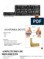 Articulação do cotovelo (cúbito e antebraço)