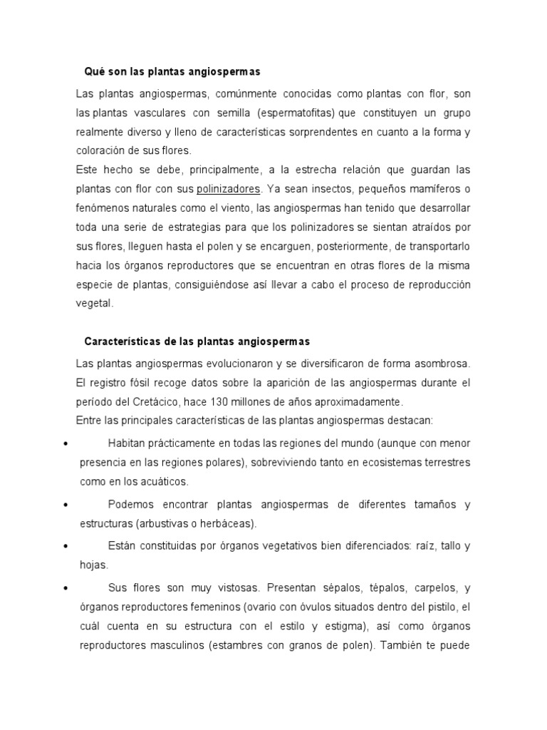 Características de las angiospermas | PDF | Flores | Plantas