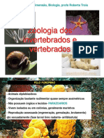 Zoologia Dos Invertebrados e Vertebrados: Pré-Vestibular Dimensão, Biologia, Profa Roberta Trois