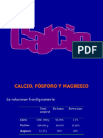 Calcio,Fosforoymagnesio 11081