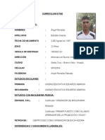 Curriculum Vitae de Angel Reinaldo