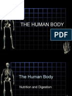 Human_Body_PowerPoint