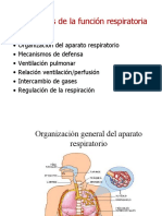 Morfofisiologia Respiratorio