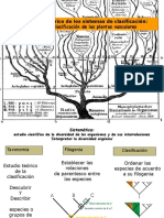 Clase 2 - 2015 - Sistemas de Clasificacion