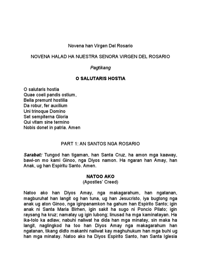 Novena On Our Lady of The Most Holy Rosary | PDF