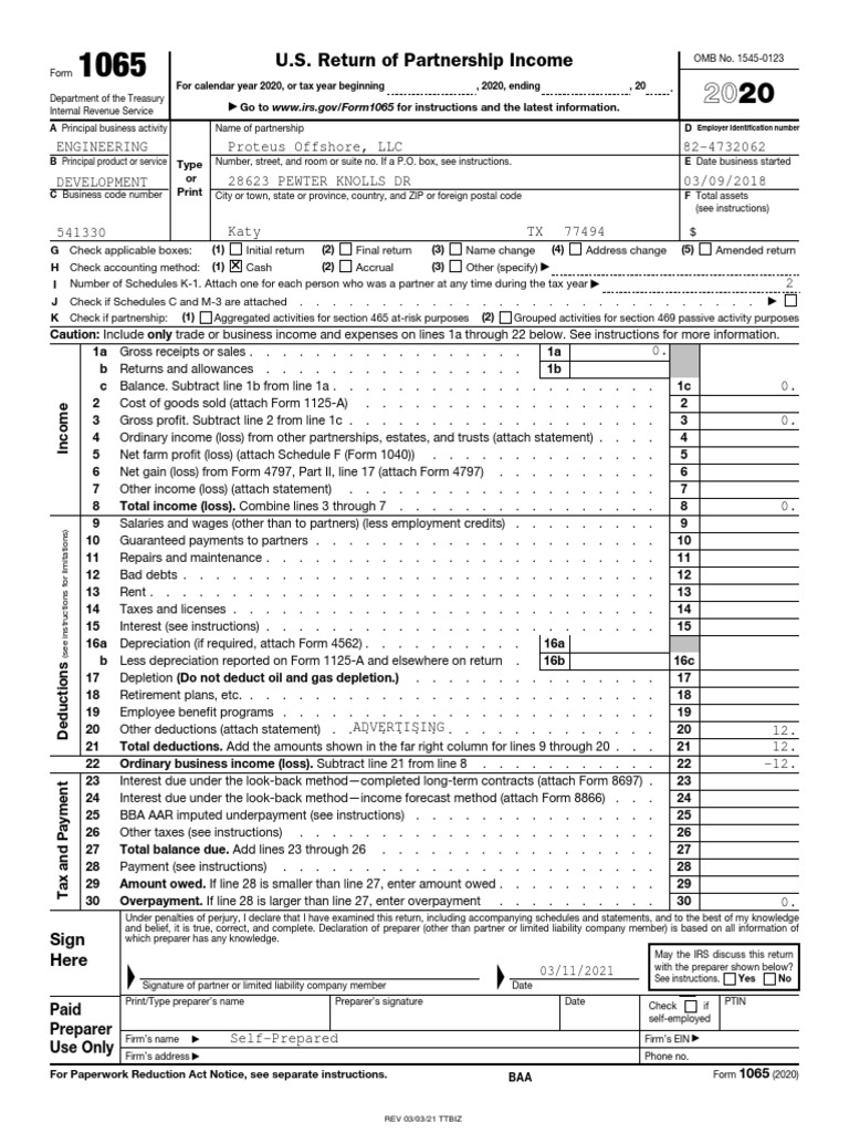 2020 Proteus Offshore, LLC Form 1065 Partnerships Tax Return - Filing ...