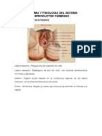 Anatomia y Fisiologia Del Sistema Reproductor Femenino