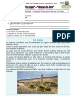 13-08 COMPRENSIÓN LECTORA - La Puya y Grano de Oro