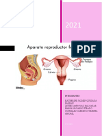 Sistema Reproductor Femenino