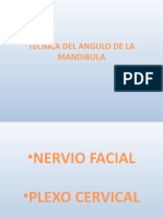 Tecnicas Del Angulo de La Mandibula