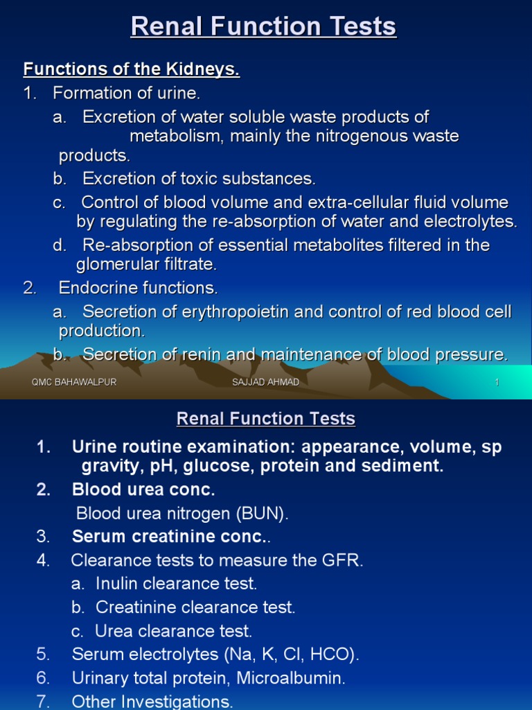 Comprehensive Guide to Renal Function Tests | PDF | Kidney | Creatinine