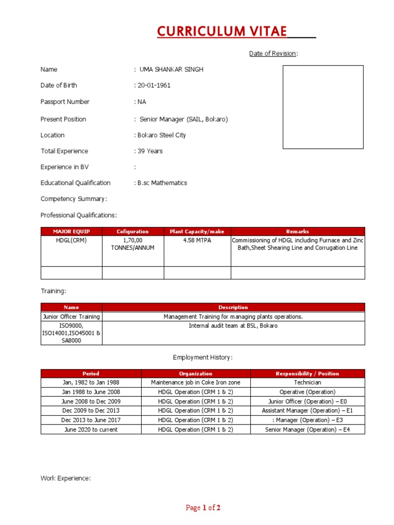 CV in Latest BV Format. | PDF | Secondary Sector Of The Economy ...